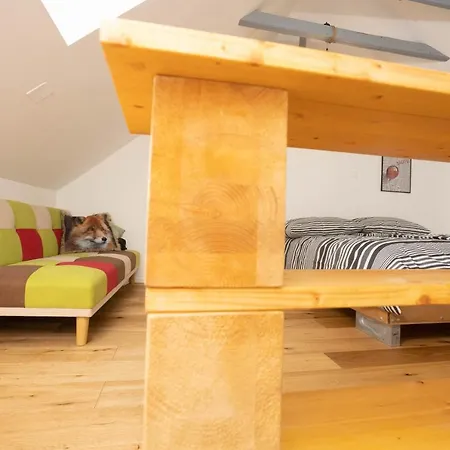 Apartment Zlatni *
