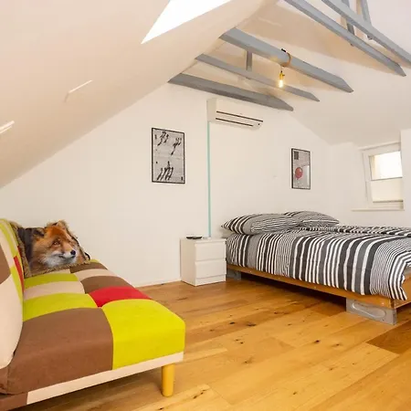 Zlatni Apartment Split